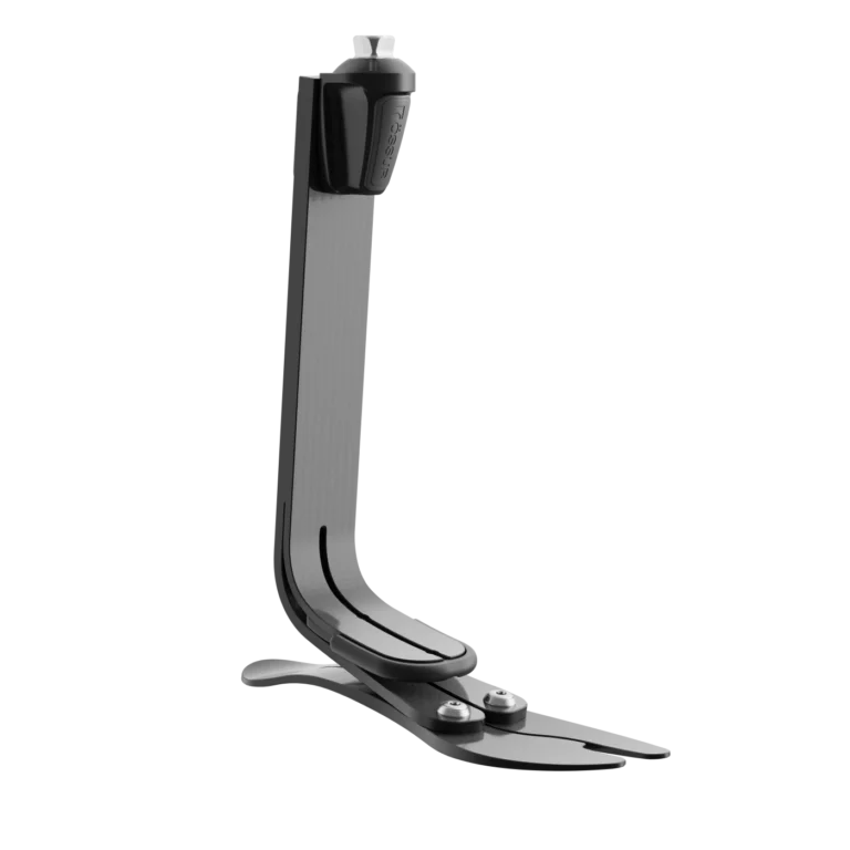Prosthetic Foot